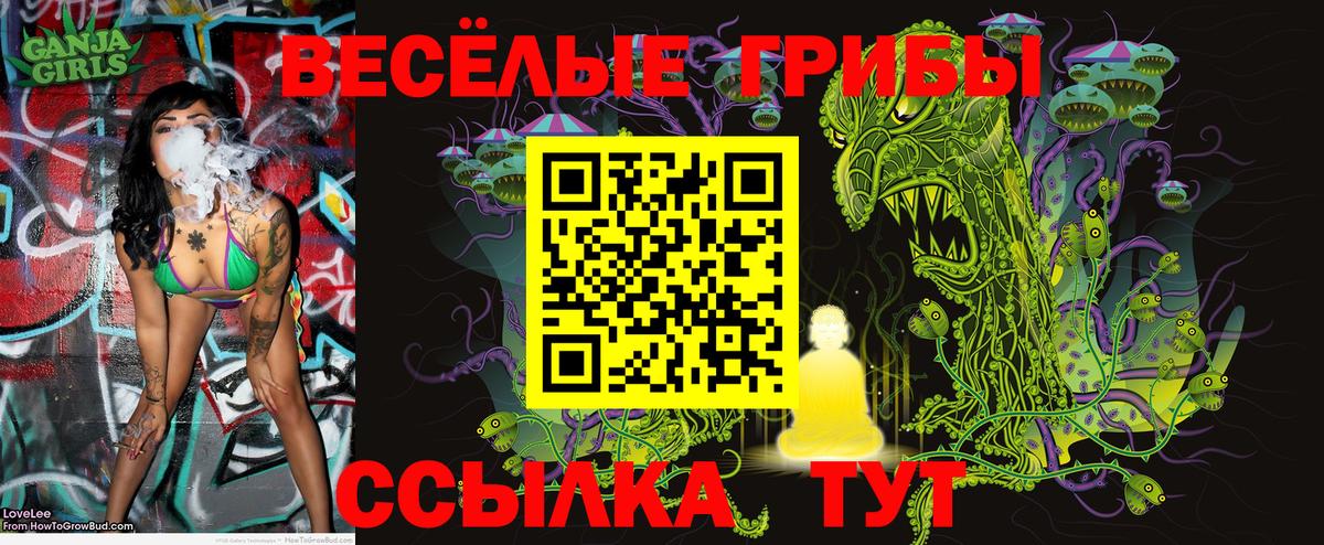 Чусовой  Псилоцибиновые грибы MAGIC MUSHROOMS  Вход с VPN 